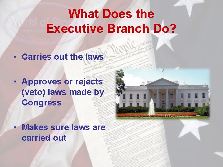 What Does the Executive Branch Do? • Carries out the laws • Approves or