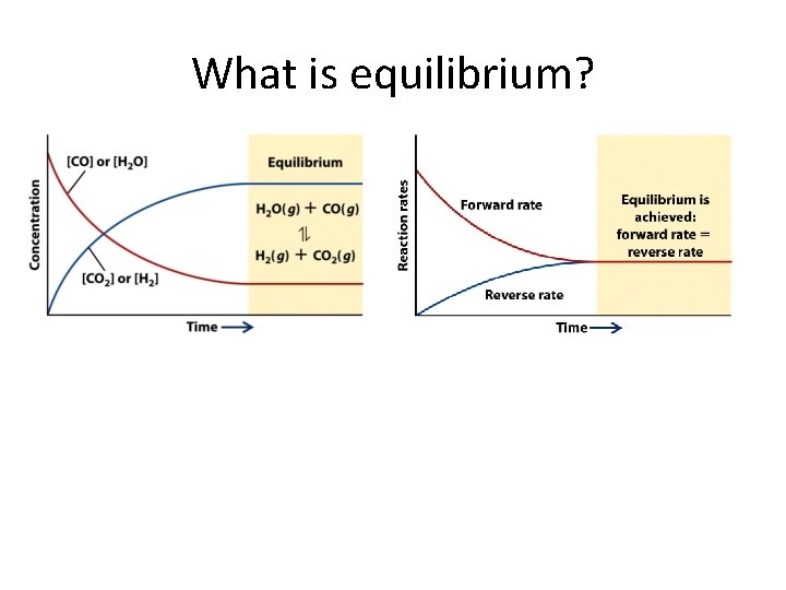 What is equilibrium? 