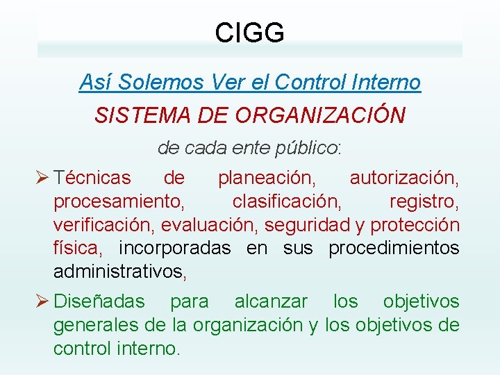 CIGG Así Solemos Ver el Control Interno SISTEMA DE ORGANIZACIÓN de cada ente público: