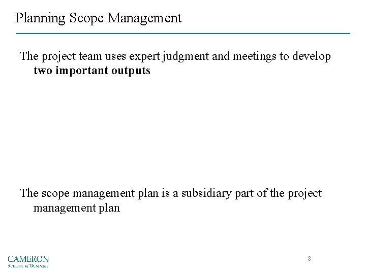 Planning Scope Management The project team uses expert judgment and meetings to develop two