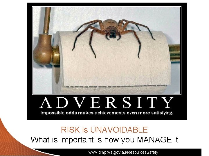RISK is UNAVOIDABLE What is important is how you MANAGE it www. dmp. wa.