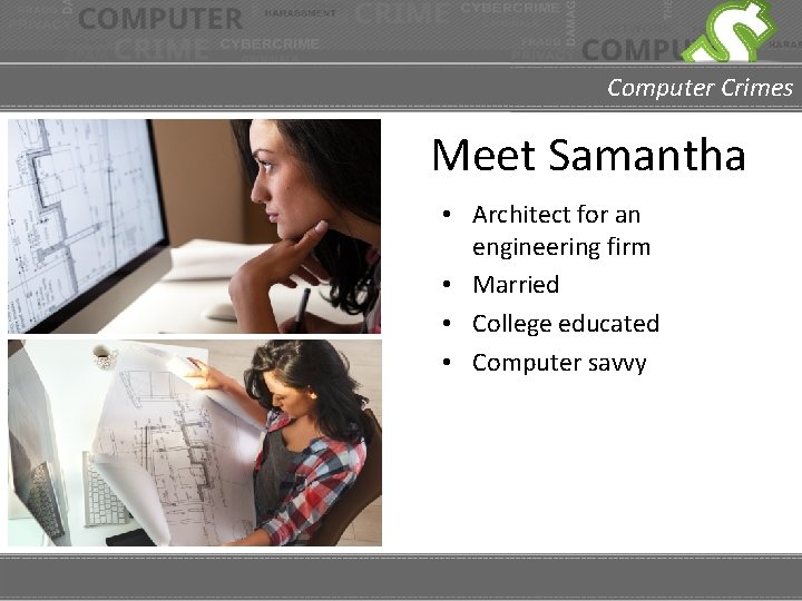 Computer Crimes Meet Samantha • Architect for an engineering firm • Married • College