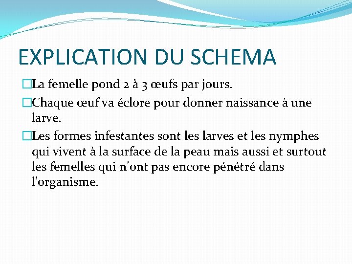 EXPLICATION DU SCHEMA �La femelle pond 2 à 3 œufs par jours. �Chaque œuf