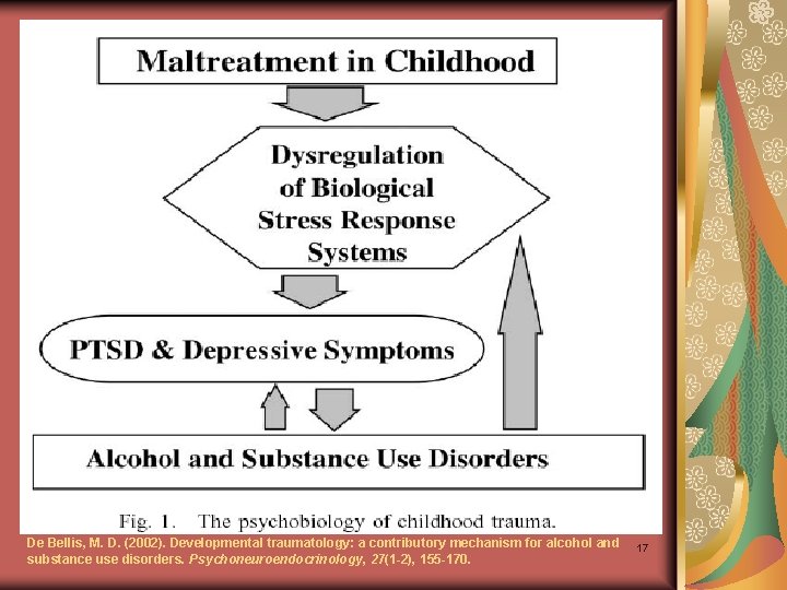 De Bellis, M. D. (2002). Developmental traumatology: a contributory mechanism for alcohol and substance