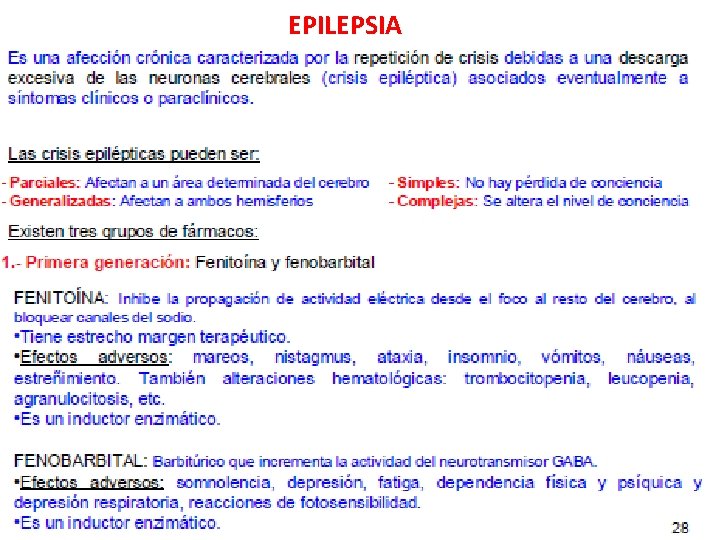 EPILEPSIA 