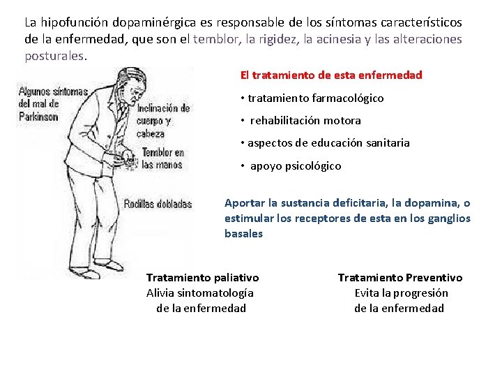 La hipofunción dopaminérgica es responsable de los síntomas característicos de la enfermedad, que son