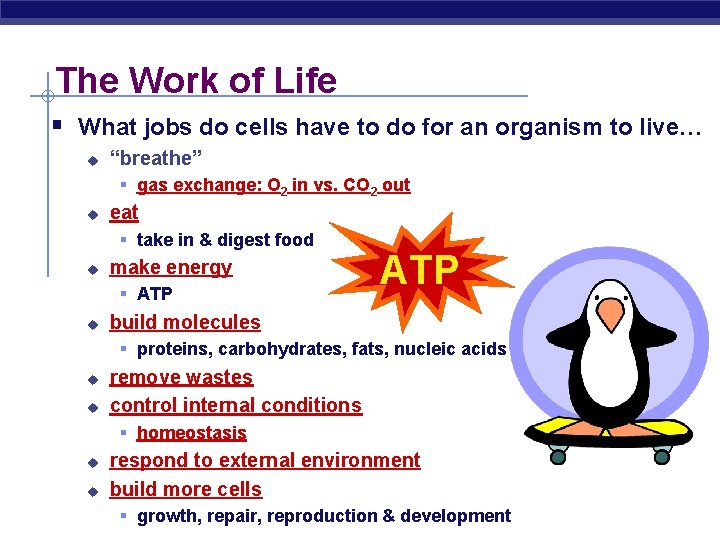The Work of Life § What jobs do cells have to do for an