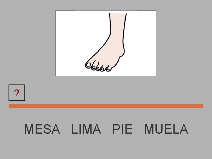 ? PIE MESA LIMA PIE MUELA 