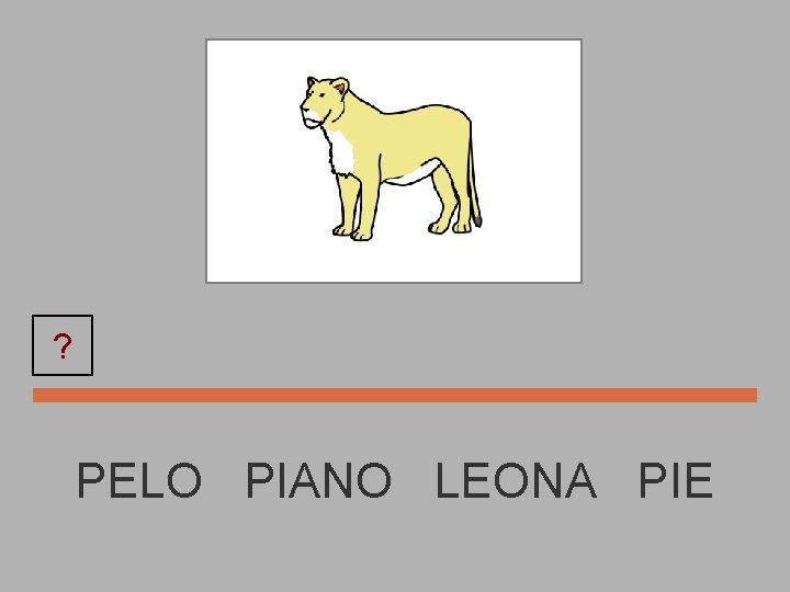 ? LEONA PELO PIANO LEONA PIE 