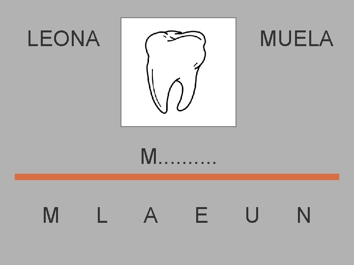 LEONA MUELA M. . M L A E U N 