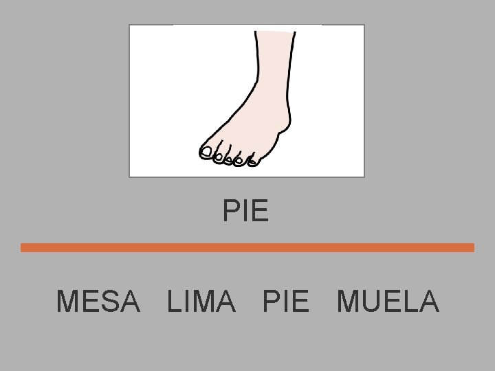 PIE MESA LIMA PIE MUELA 