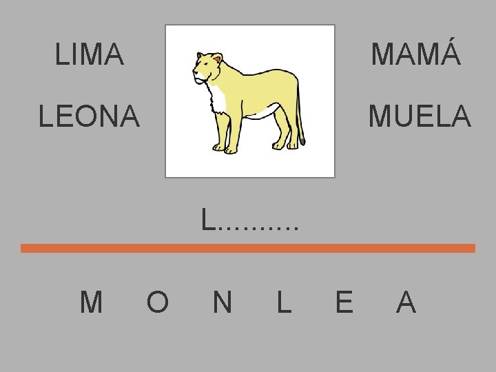 LIMA MAMÁ LEONA MUELA L. . M O N L E A 