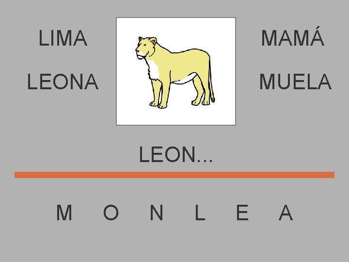 LIMA MAMÁ LEONA MUELA LEON. . . M O N L E A 