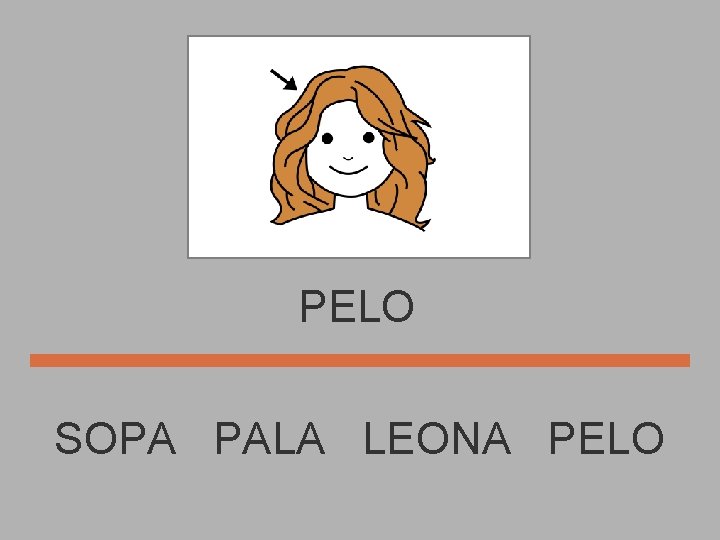 PELO SOPA PALA LEONA PELO 