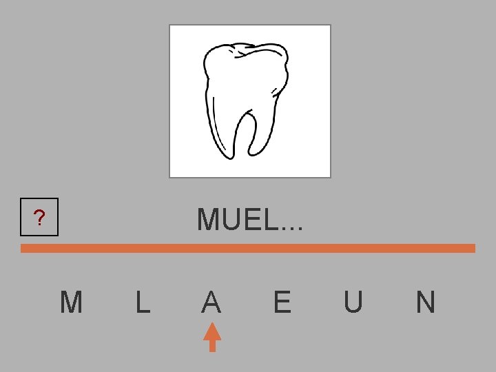 MUEL. . . ? M L A E U N 