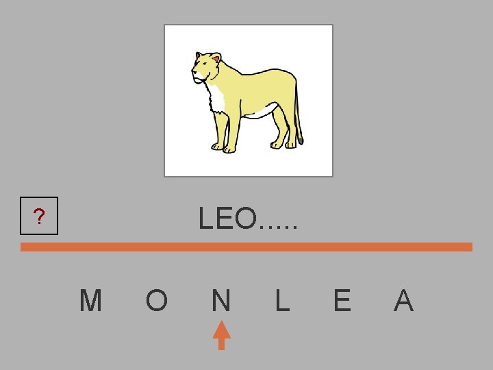 LEO. . . ? M O N L E A 