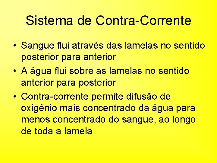 Sistema de Contra-Corrente • Sangue flui através das lamelas no sentido posterior para anterior