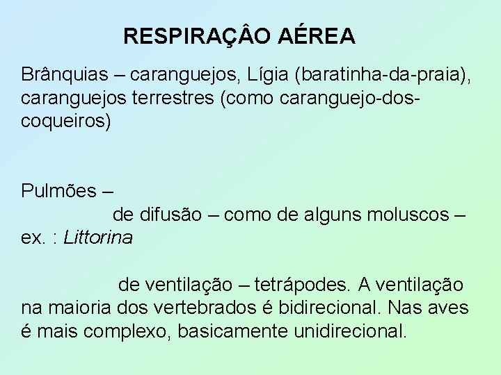 RESPIRAÇ O AÉREA Brânquias – caranguejos, Lígia (baratinha-da-praia), caranguejos terrestres (como caranguejo-doscoqueiros) Pulmões –