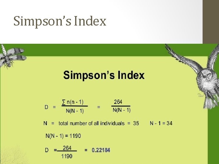 Simpson’s Index  Simpson’s Index