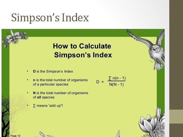 Simpson’s Index  Simpson’s Index