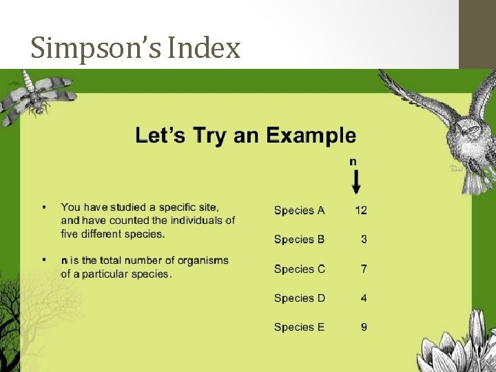 Simpson’s Index  Simpson’s Index