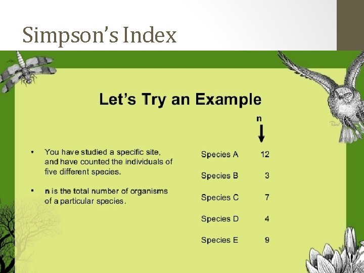 Simpson’s Index 