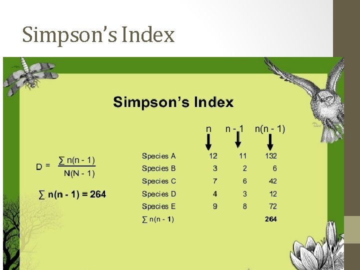 Simpson’s Index  Simpson’s Index
