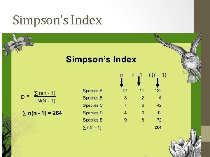 Simpson’s Index 