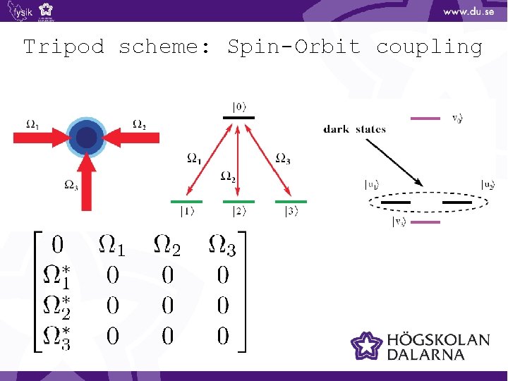Tripod scheme: Spin-Orbit coupling 
