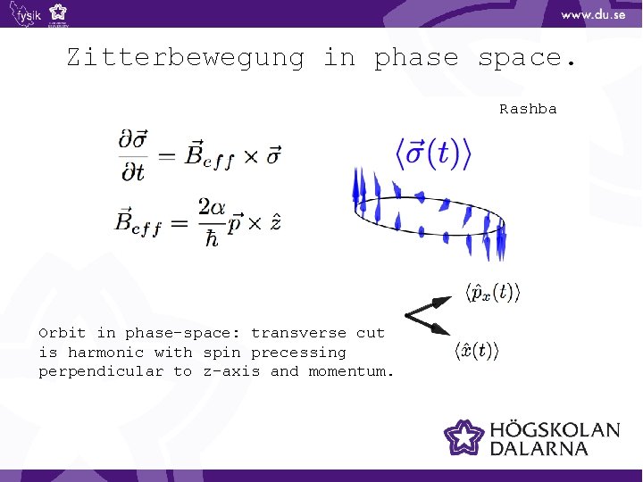 Zitterbewegung in phase space. Rashba Orbit in phase-space: transverse cut is harmonic with spin