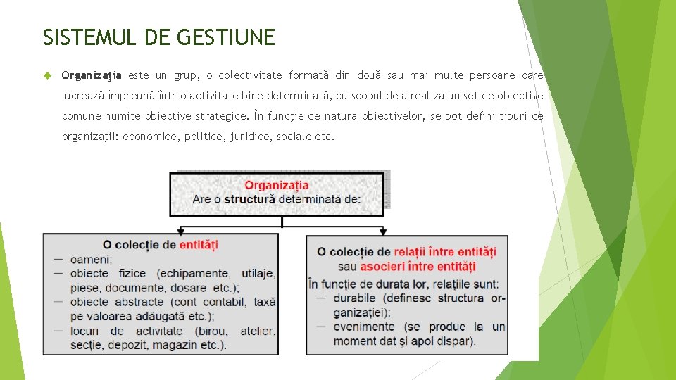SISTEMUL DE GESTIUNE Organizaţia este un grup, o colectivitate formată din două sau mai