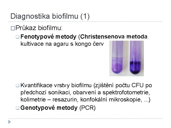 Diagnostika biofilmu (1) �Průkaz biofilmu: q Fenotypové metody (Christensenova metoda, kultivace na agaru s