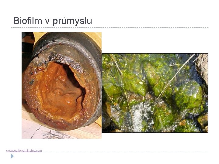 Biofilm v průmyslu www. earlywarninginc. com 