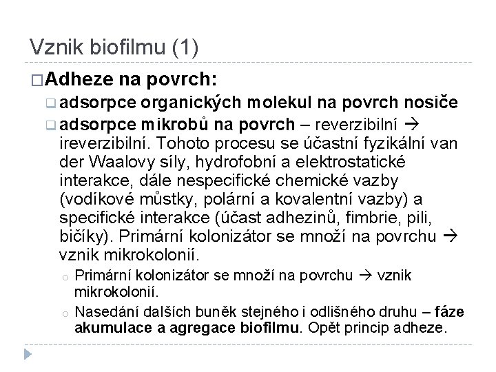 Vznik biofilmu (1) �Adheze na povrch: q adsorpce organických molekul na povrch nosiče q