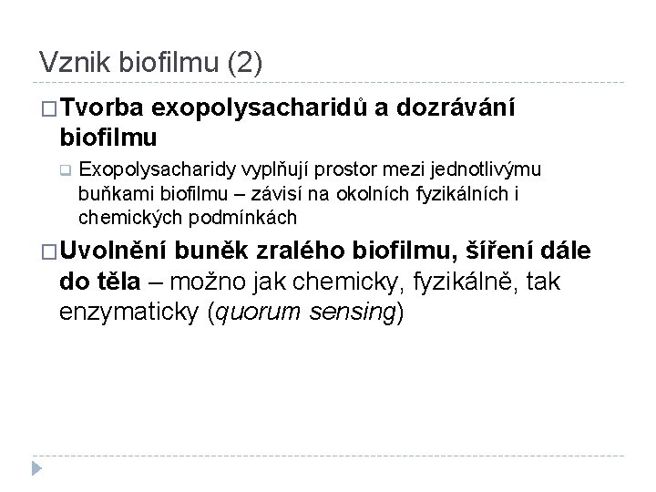 Vznik biofilmu (2) �Tvorba exopolysacharidů a dozrávání biofilmu q Exopolysacharidy vyplňují prostor mezi jednotlivýmu