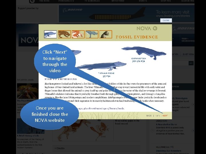 Click “Next” to navigate through the video Once you are finished close the NOVA