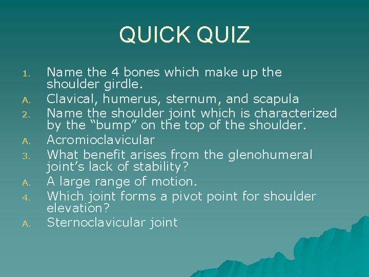 QUICK QUIZ 1. A. 2. A. 3. A. 4. A. Name the 4 bones