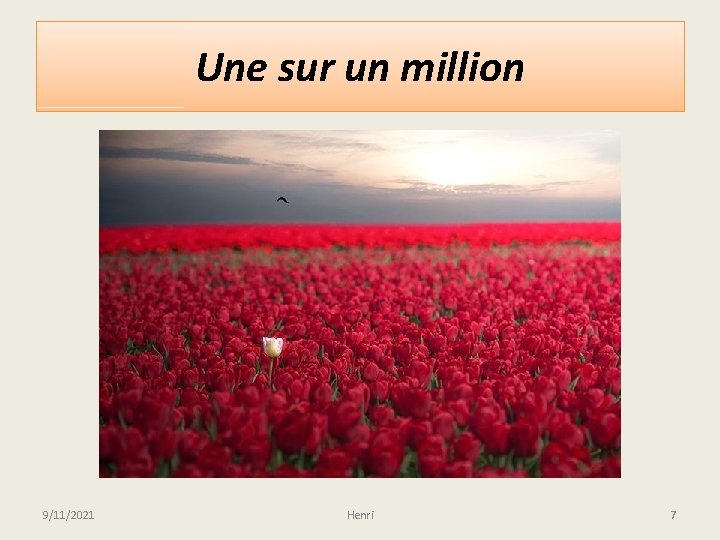 Une sur un million 9/11/2021 Henri 7 