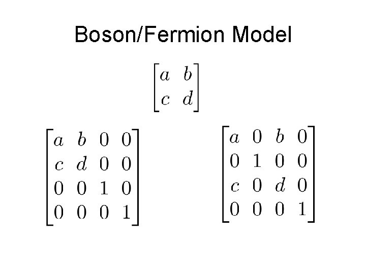 Boson/Fermion Model 