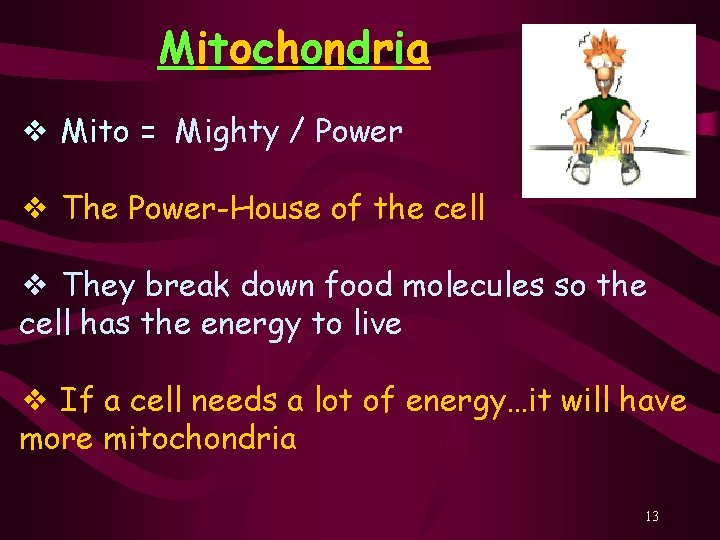 Mitochondria ❖ Mito = Mighty / Power ❖ The Power-House of the cell ❖