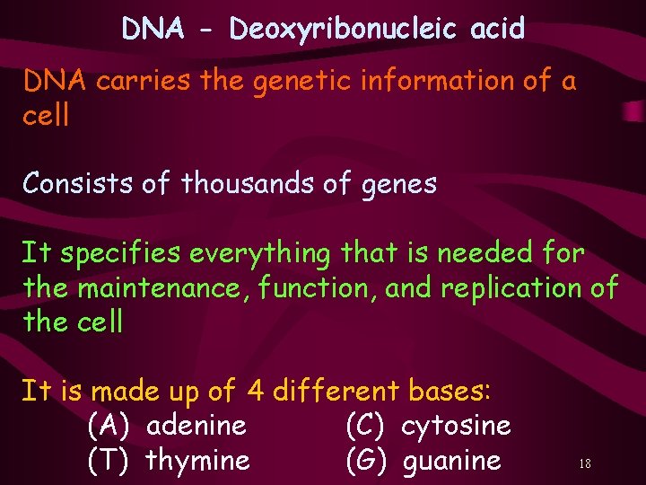 DNA - Deoxyribonucleic acid DNA carries the genetic information of a cell Consists of