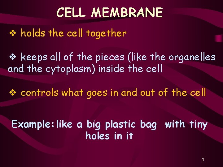 CELL MEMBRANE ❖ holds the cell together ❖ keeps all of the pieces (like