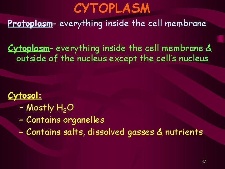 CYTOPLASM Protoplasm- everything inside the cell membrane Cytoplasm- everything inside the cell membrane &