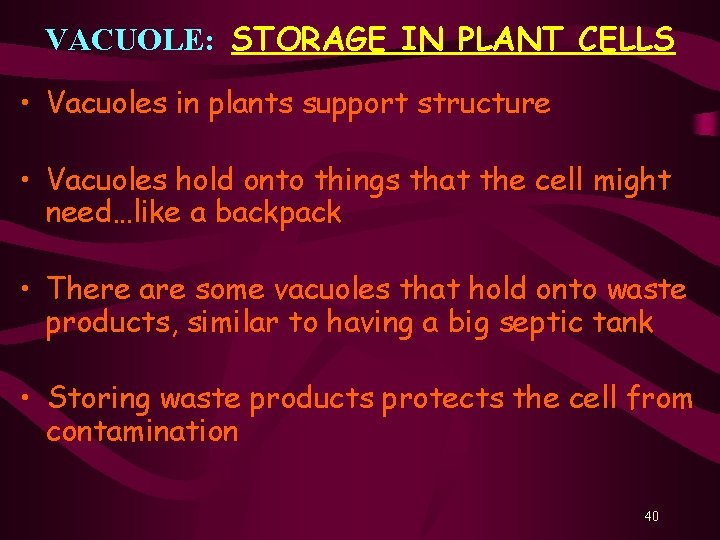 VACUOLE: STORAGE IN PLANT CELLS • Vacuoles in plants support structure • Vacuoles hold