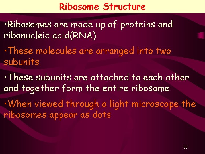 Ribosome Structure • Ribosomes are made up of proteins and ribonucleic acid(RNA) • These