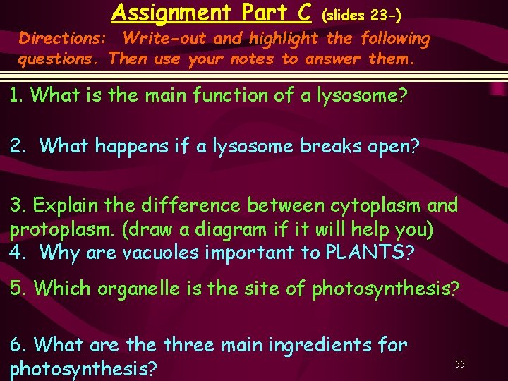 Assignment Part C (slides 23 -) Directions: Write-out and highlight the following questions. Then