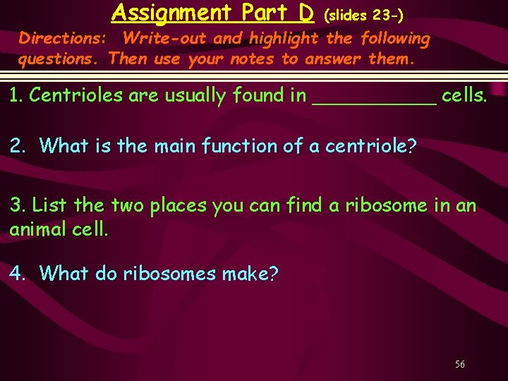 Assignment Part D (slides 23 -) Directions: Write-out and highlight the following questions. Then