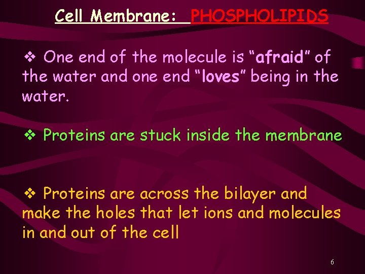 Cell Membrane: PHOSPHOLIPIDS ❖ One end of the molecule is “afraid” of the water