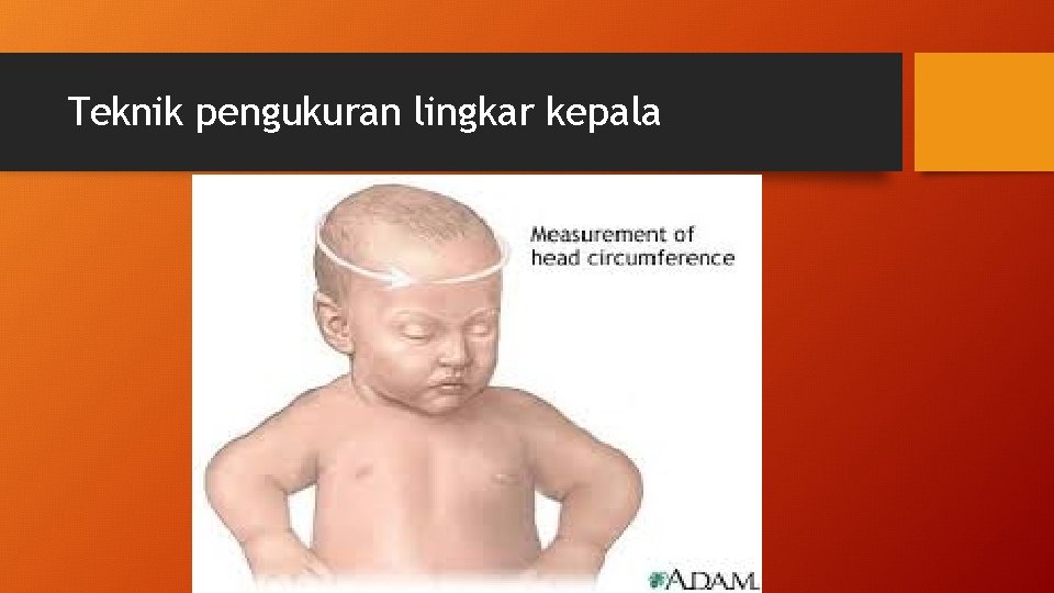 Teknik pengukuran lingkar kepala 