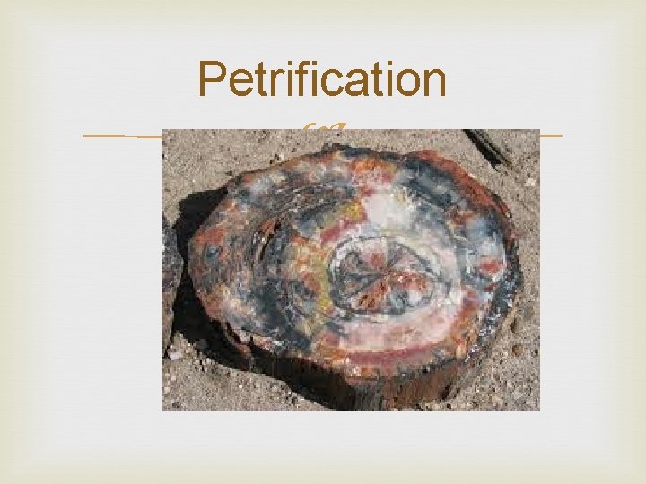 Petrification 